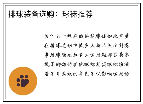 排球装备选购：球袜推荐